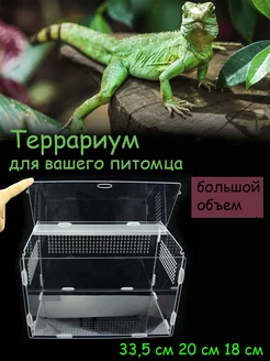 Отзыв на 