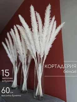 Отзыв на 