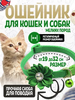 Отзыв на 