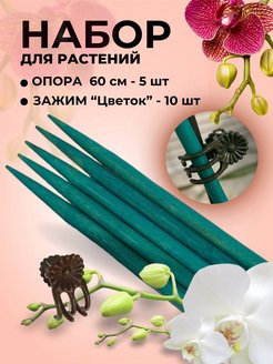 Отзыв на 