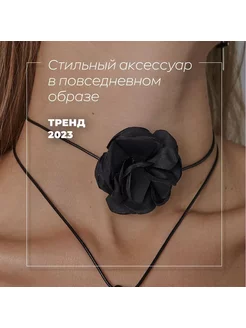 Отзыв на 