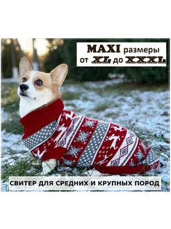 Отзыв на 