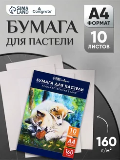 Отзыв на 