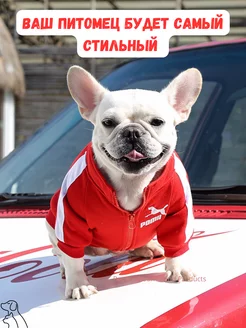 Отзыв на 