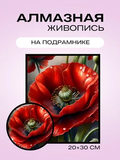 Отзыв на 