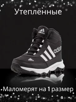 Отзыв на 