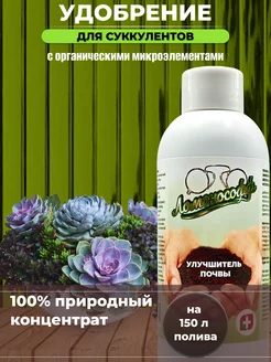 Отзыв на 