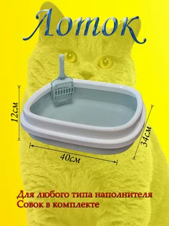Отзыв на 