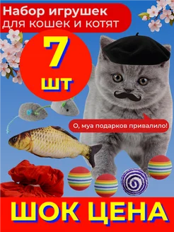 Отзыв на 