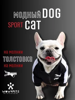 Отзыв на 