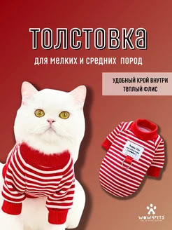Отзыв на 