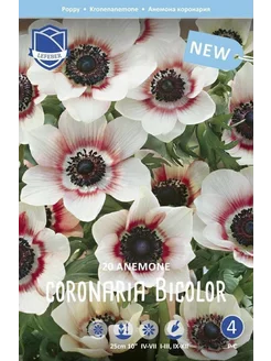 Скидка на Анемона корончатая Биколор (Anemone coron. Bicolor), 20 шт