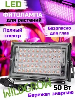 Отзыв на 