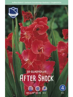 Скидка на Гладиолус Афте Шок (After Shock), 10 шт