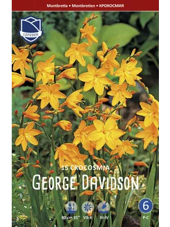 Скидка на Крокосмия Джордж Девисон (George Davison), 15 шт