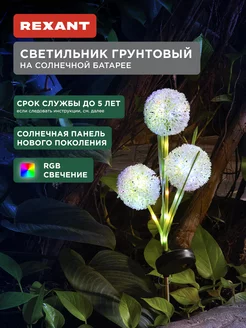 Отзыв на 