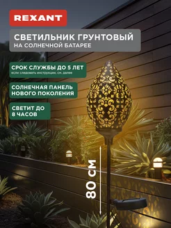 Отзыв на 