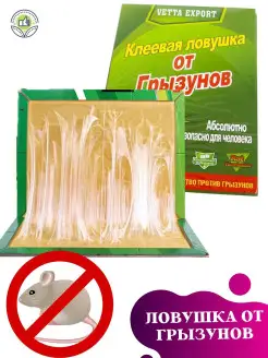 Отзыв на 