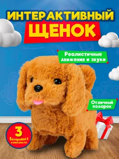 Отзыв на 