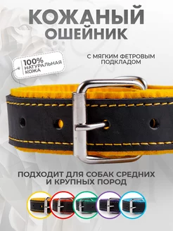 Отзыв на 