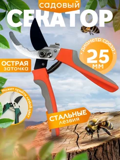 Распродажа 