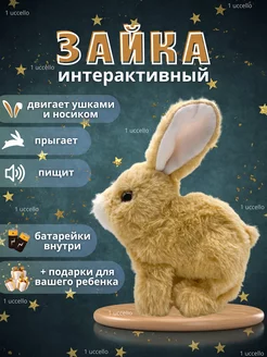 Отзыв на 