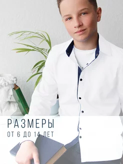 Отзыв на 
