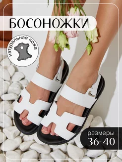 Отзыв на 
