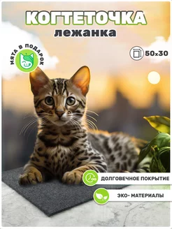 Отзыв на 