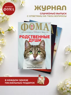 Отзыв на 