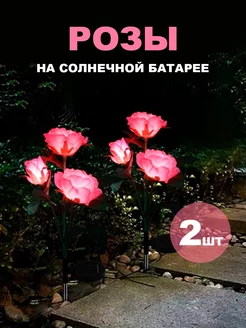 Отзыв на 