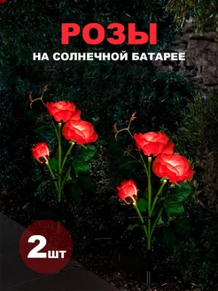 Отзыв на 