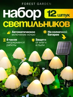 Отзыв на 