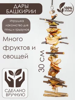 Отзыв на 