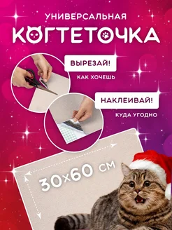 Отзыв на 