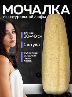 Отзыв на 