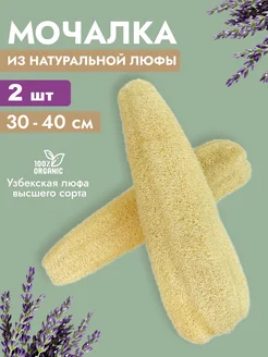 Отзыв на 