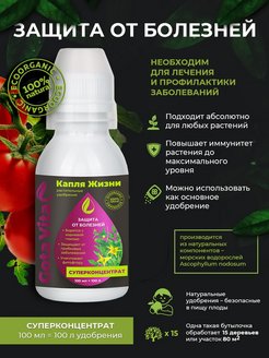 Отзыв на 