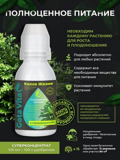 Отзыв на 