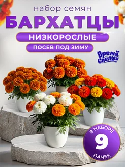 Скидка на Бархатцы семена низкорослые 9 пачек