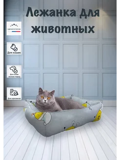 Отзыв на 