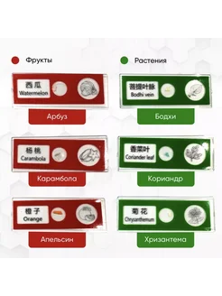 Отзыв на 