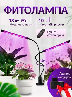 Отзыв на 