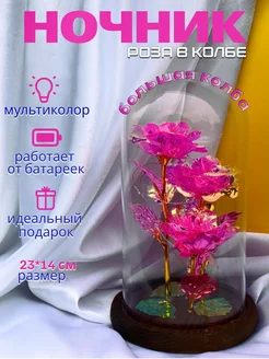 Отзыв на 