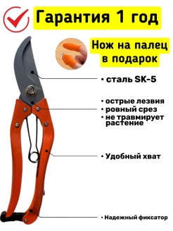 Распродажа 