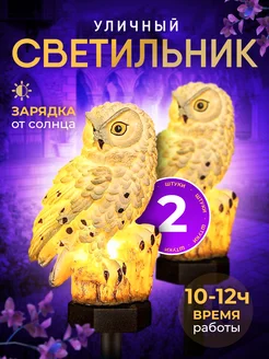 Отзыв на 