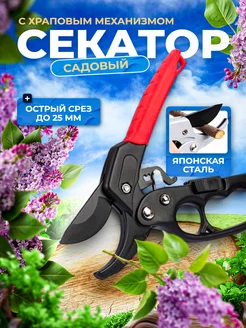 Распродажа 