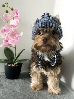 Отзыв на 