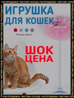 Отзыв на 