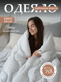 Отзыв на 